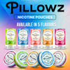 Pillowz Pouches